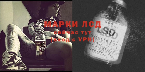прущий лед Арсеньев