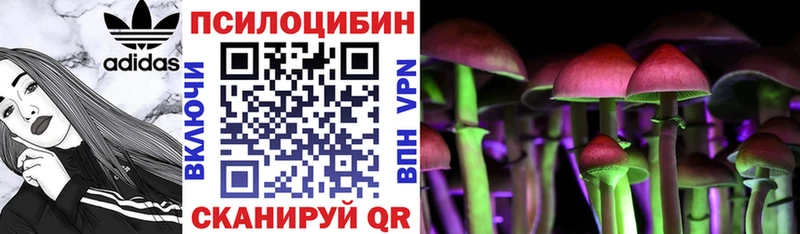 Псилоцибиновые грибы мицелий  Лихославль 